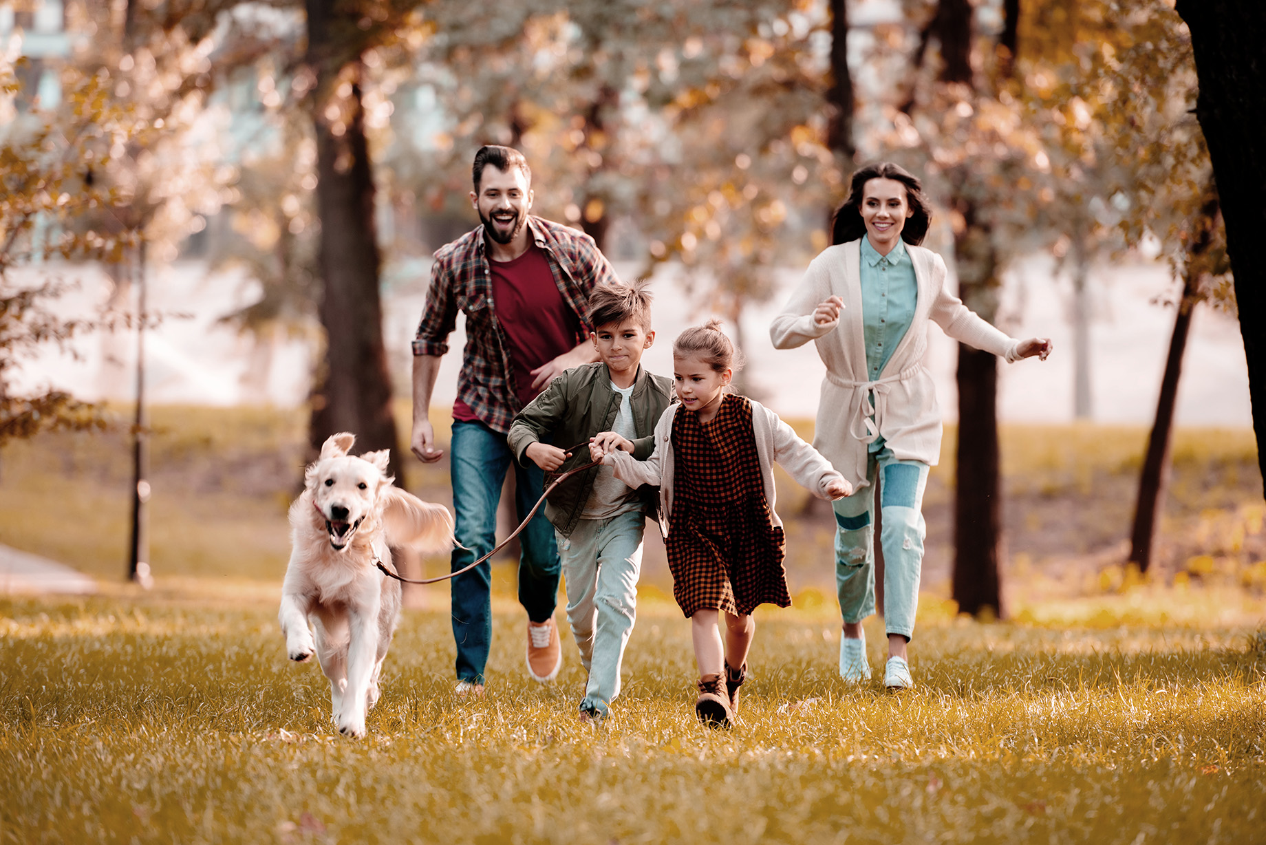 smiling family with labrador running on meadow in SMALLER FILE